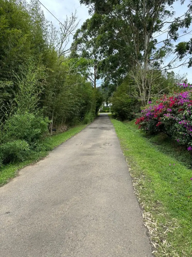 Easements in Costa Rica, servidumbre de paso. Servidumbres