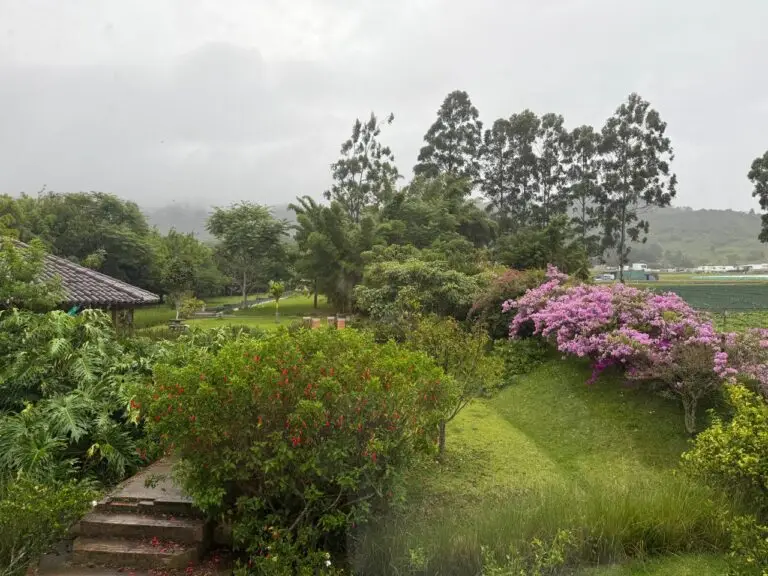 Property rights and ownerships rights in Costa Rica